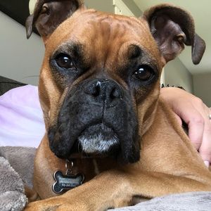 Meet your Posher, Maggie